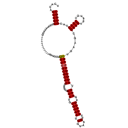 secondary structure
