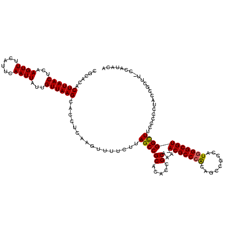 secondary structure