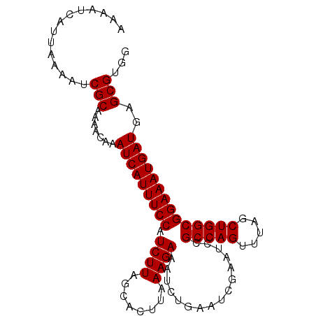 secondary structure