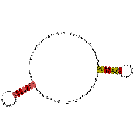 secondary structure