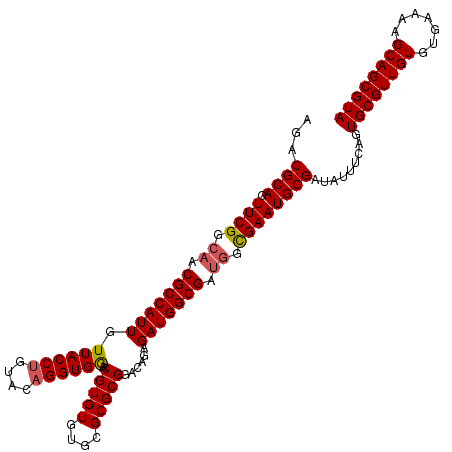 secondary structure