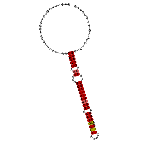 secondary structure