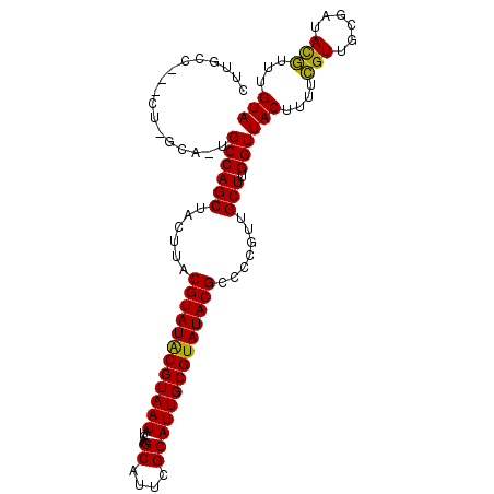 secondary structure