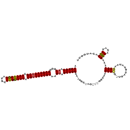 secondary structure