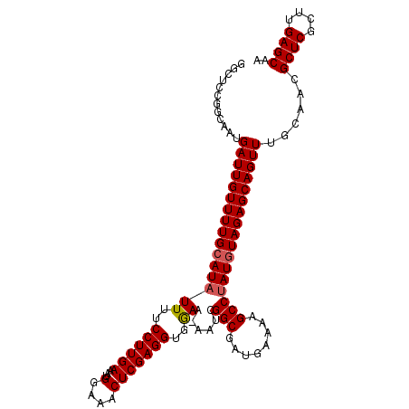 secondary structure