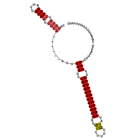 secondary structure