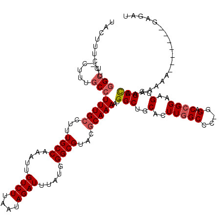 secondary structure