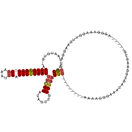 secondary structure