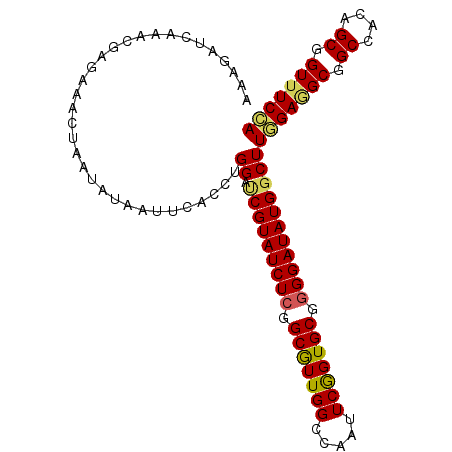 secondary structure