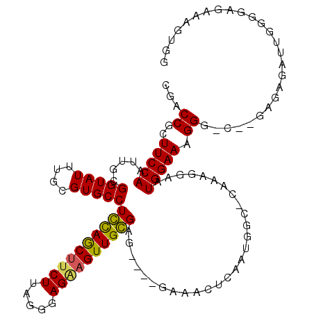 secondary structure