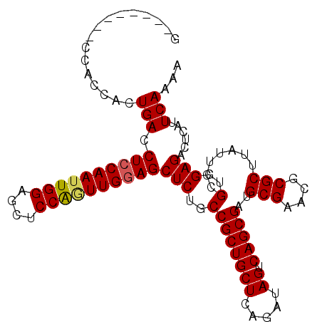 secondary structure