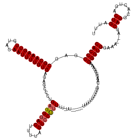 secondary structure