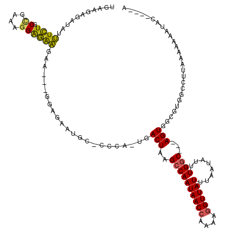 secondary structure