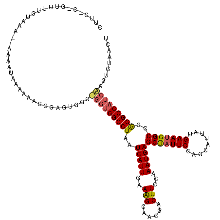 secondary structure