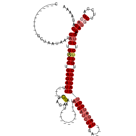 secondary structure