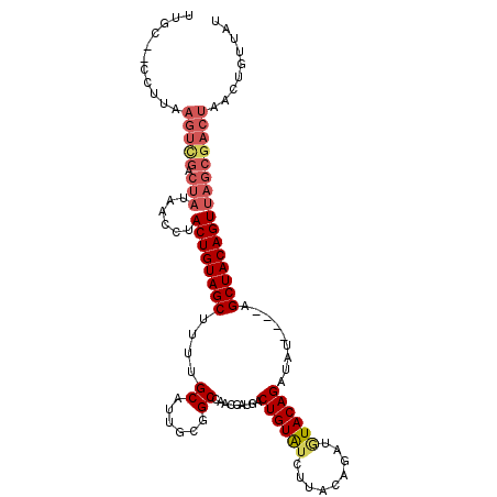 secondary structure