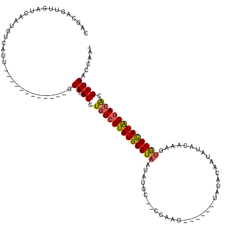 secondary structure