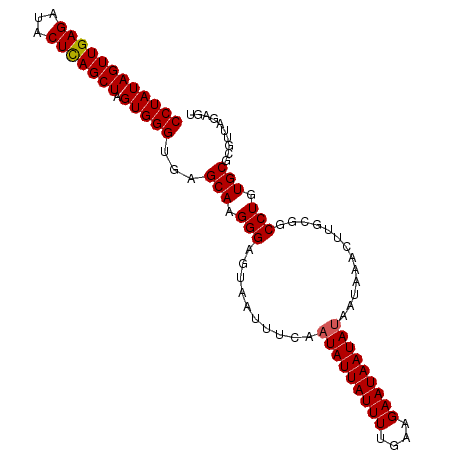 secondary structure