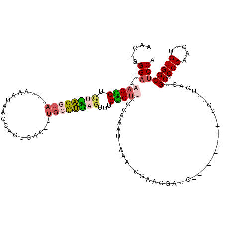 secondary structure