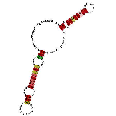 secondary structure