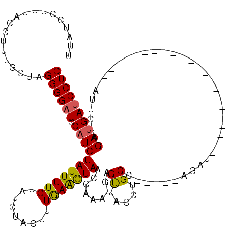 secondary structure