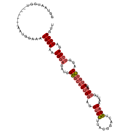 secondary structure
