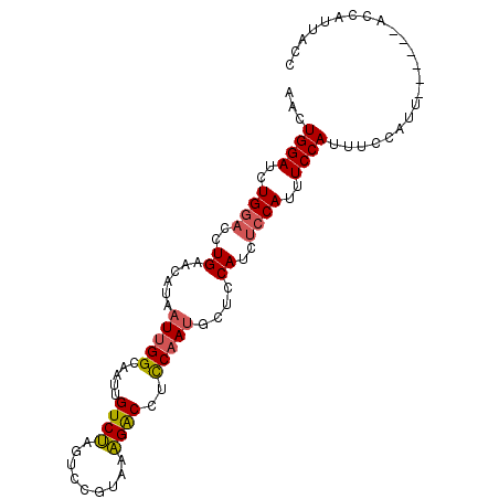 secondary structure