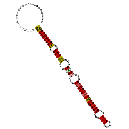 secondary structure