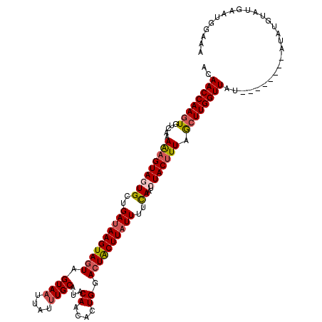 secondary structure