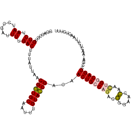 secondary structure