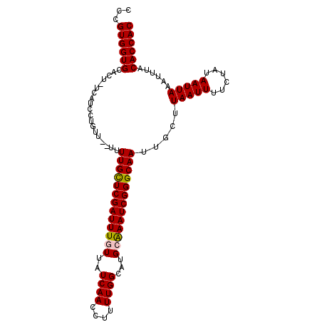secondary structure