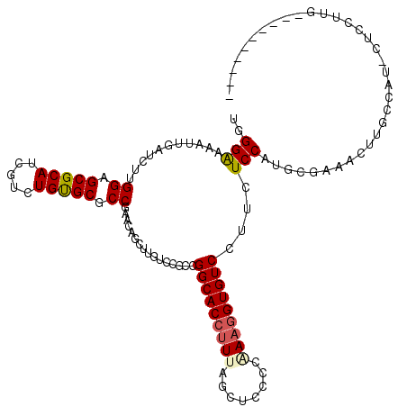 secondary structure
