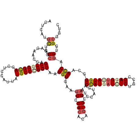 secondary structure