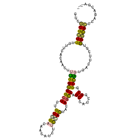 secondary structure