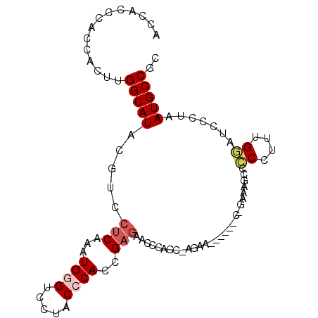 secondary structure