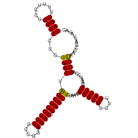 secondary structure
