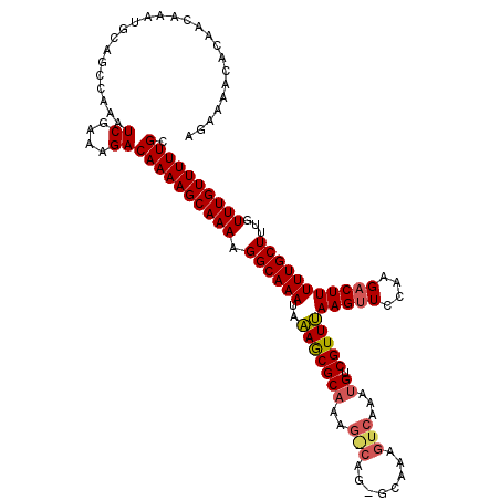secondary structure