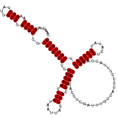 secondary structure