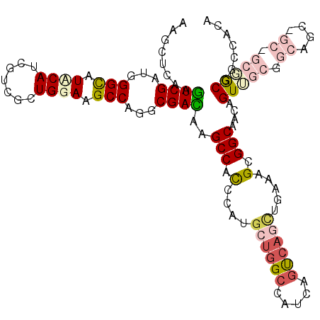 secondary structure