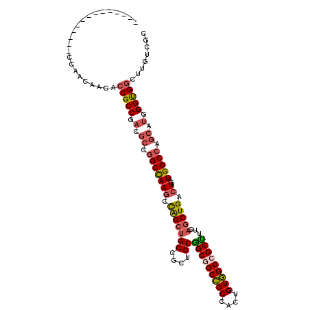 secondary structure