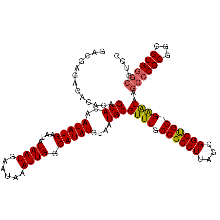 secondary structure