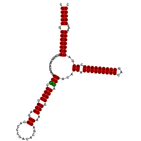 secondary structure