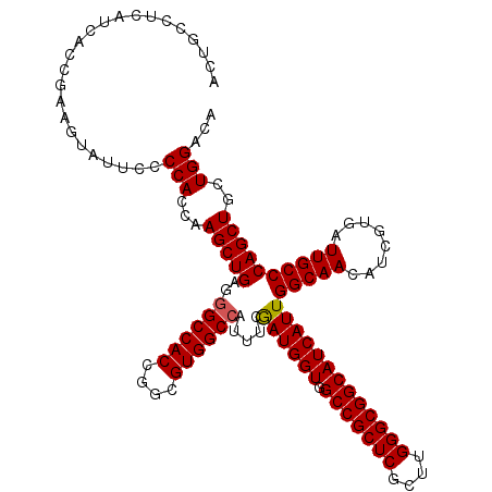 secondary structure