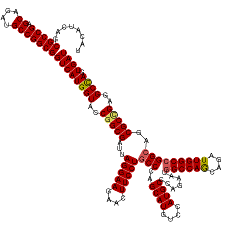 secondary structure