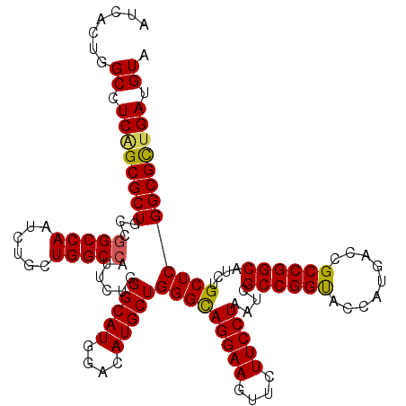 secondary structure
