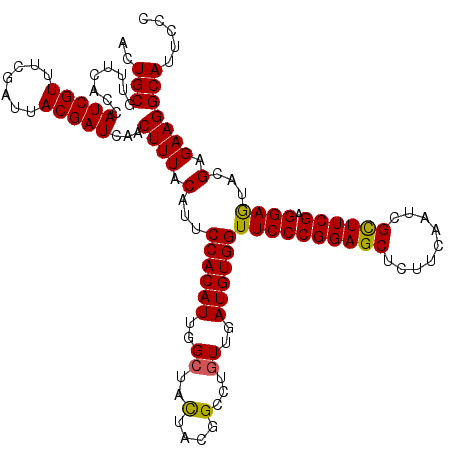 secondary structure