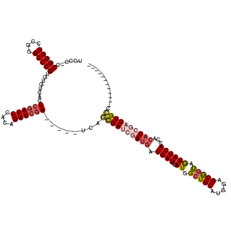 secondary structure