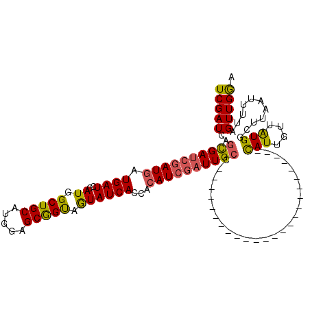 secondary structure