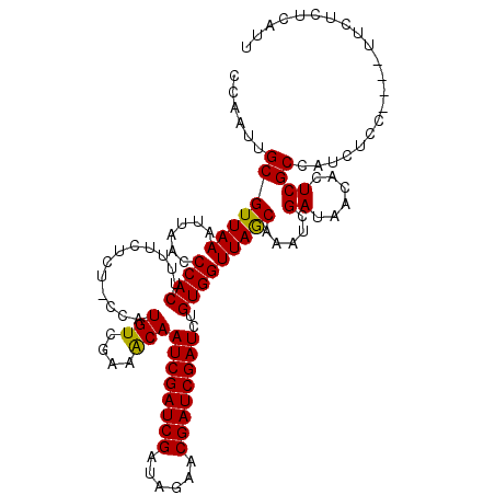 secondary structure