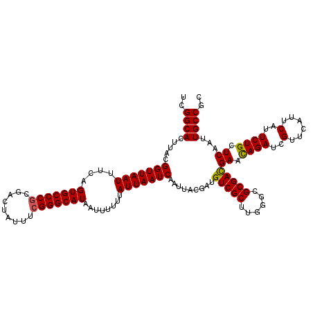 secondary structure